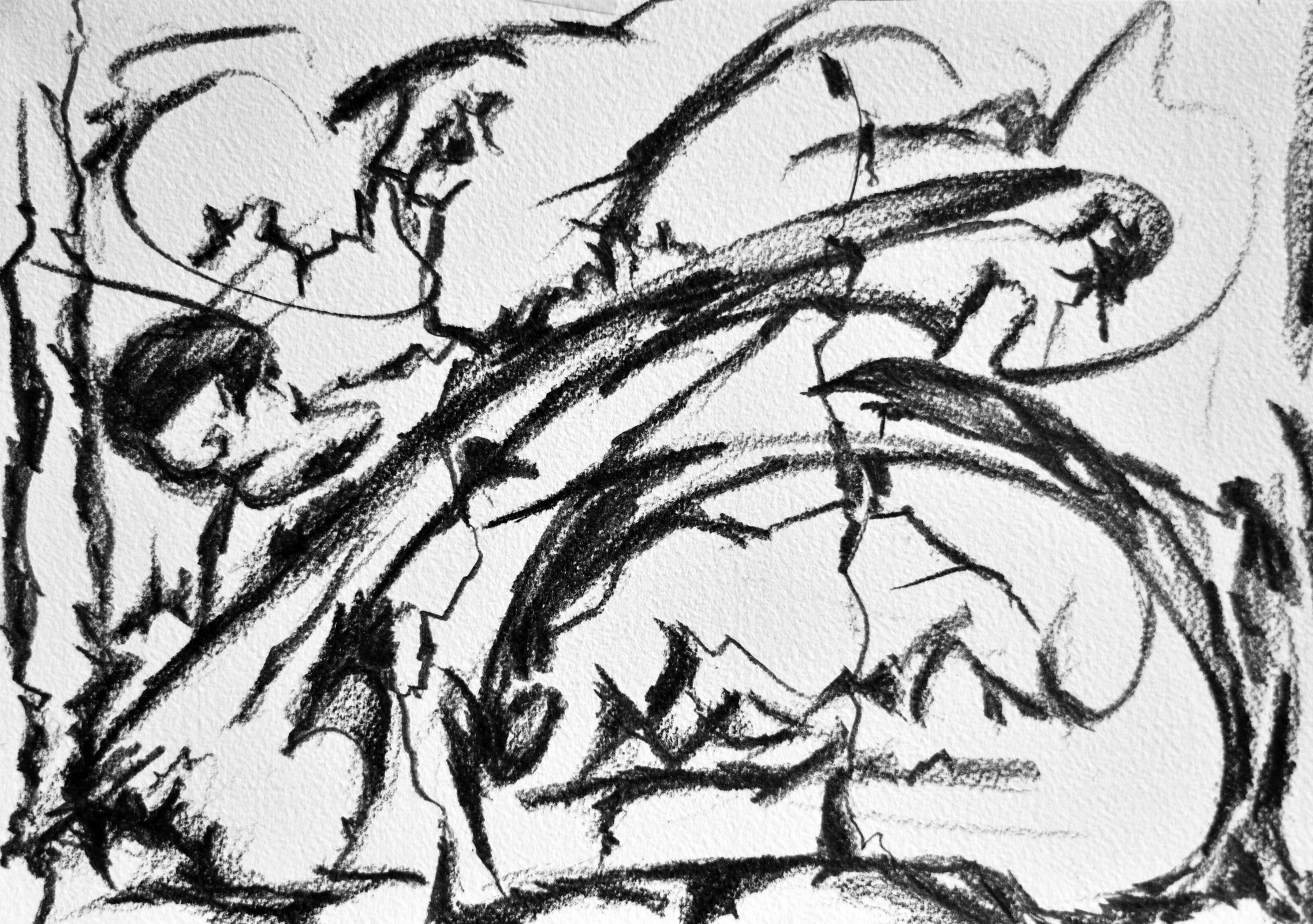 Boolarra Landscape II, 2018, drawing by Adrian Mauriks.