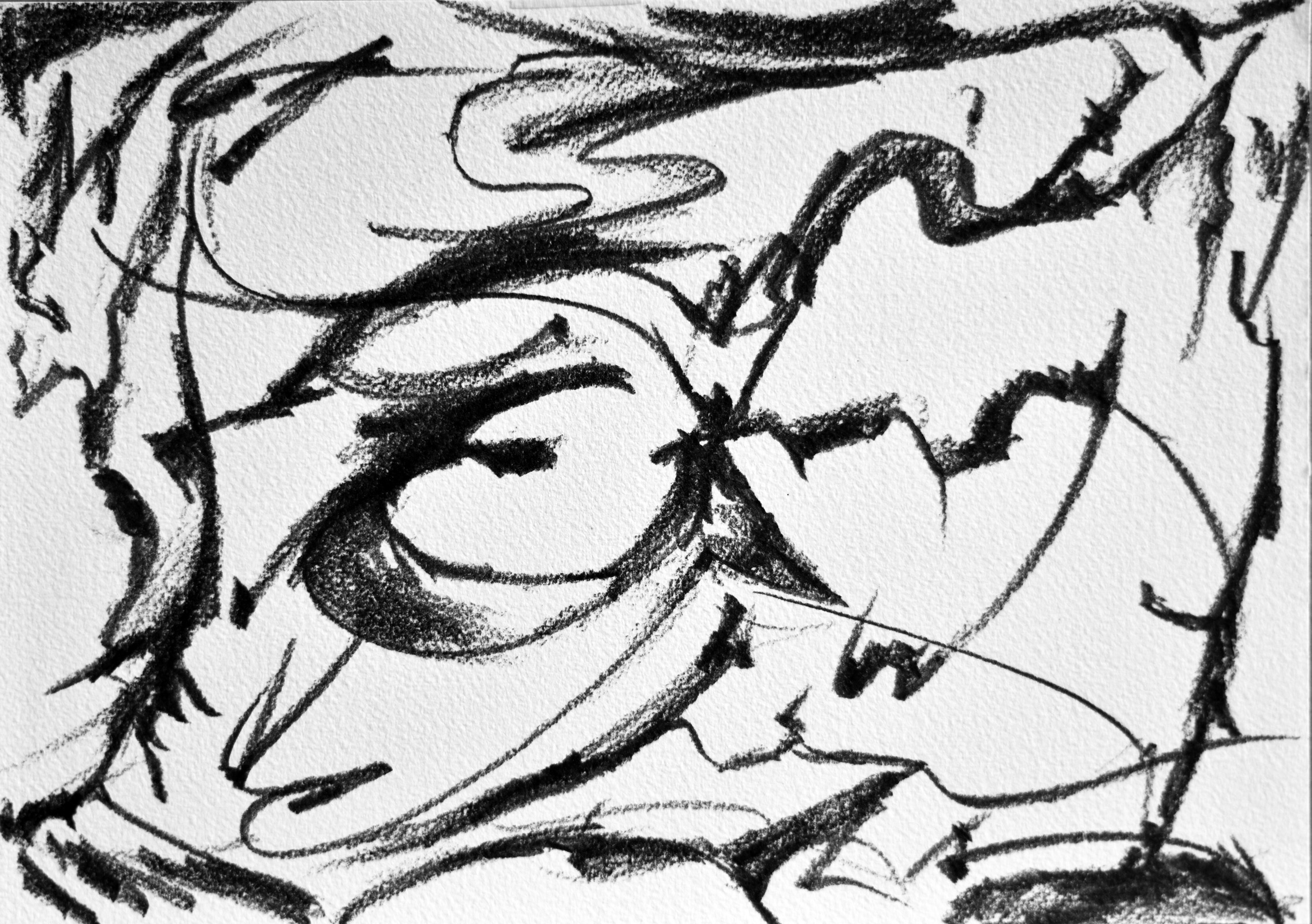 Boolarra Landscape III, 2018, drawing by Adrian Mauriks.