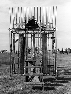 Click to enlarge image